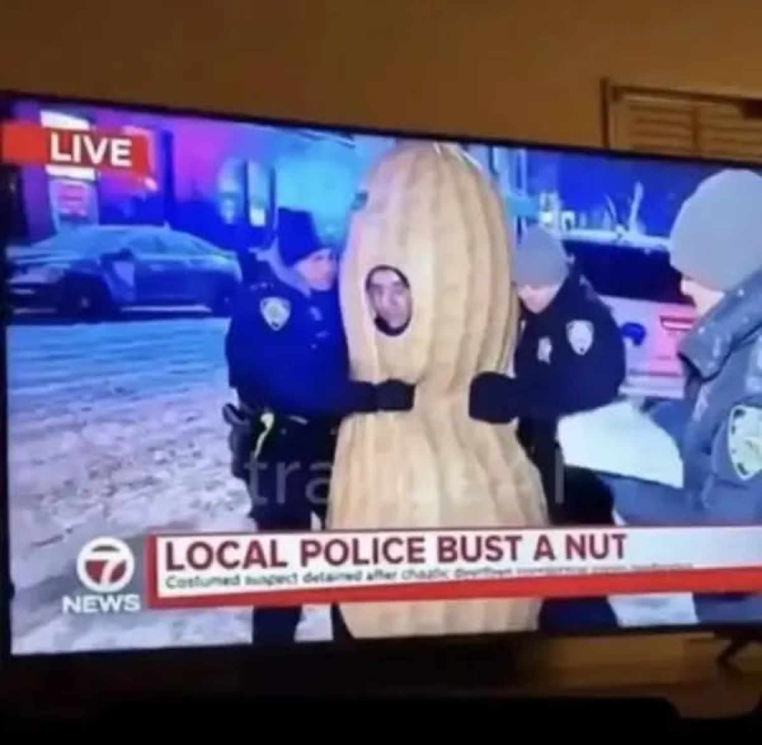 News broadcast of police detaining a person in a peanut costume, chyron reads 'LOCAL POLICE BUST A NUT'