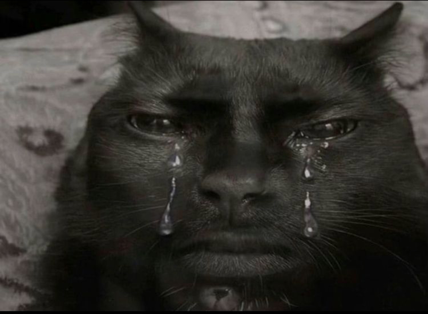 Black cat with human-like teary eyes crying dramatically in the dark