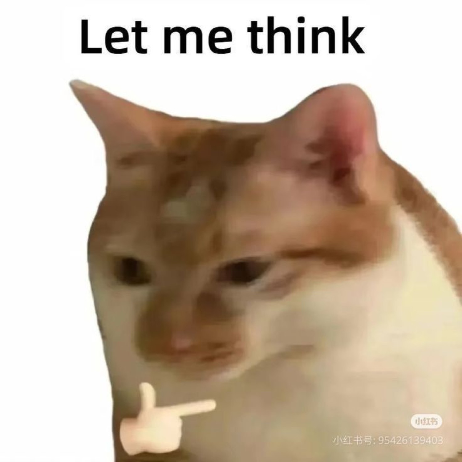 Orange cat pointing a finger to its chin captioned 'Let me think'