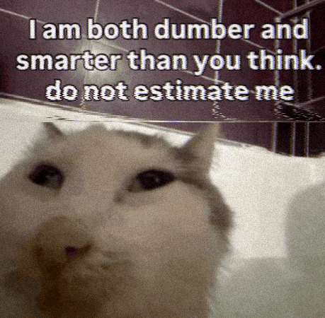 Cat squinting at the camera, "I am both dumber and smarter than you think, do not estimate me"
