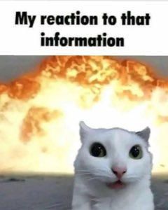 Wide-eyed cat in front of a huge explosion captioned 'My reaction to that information'
