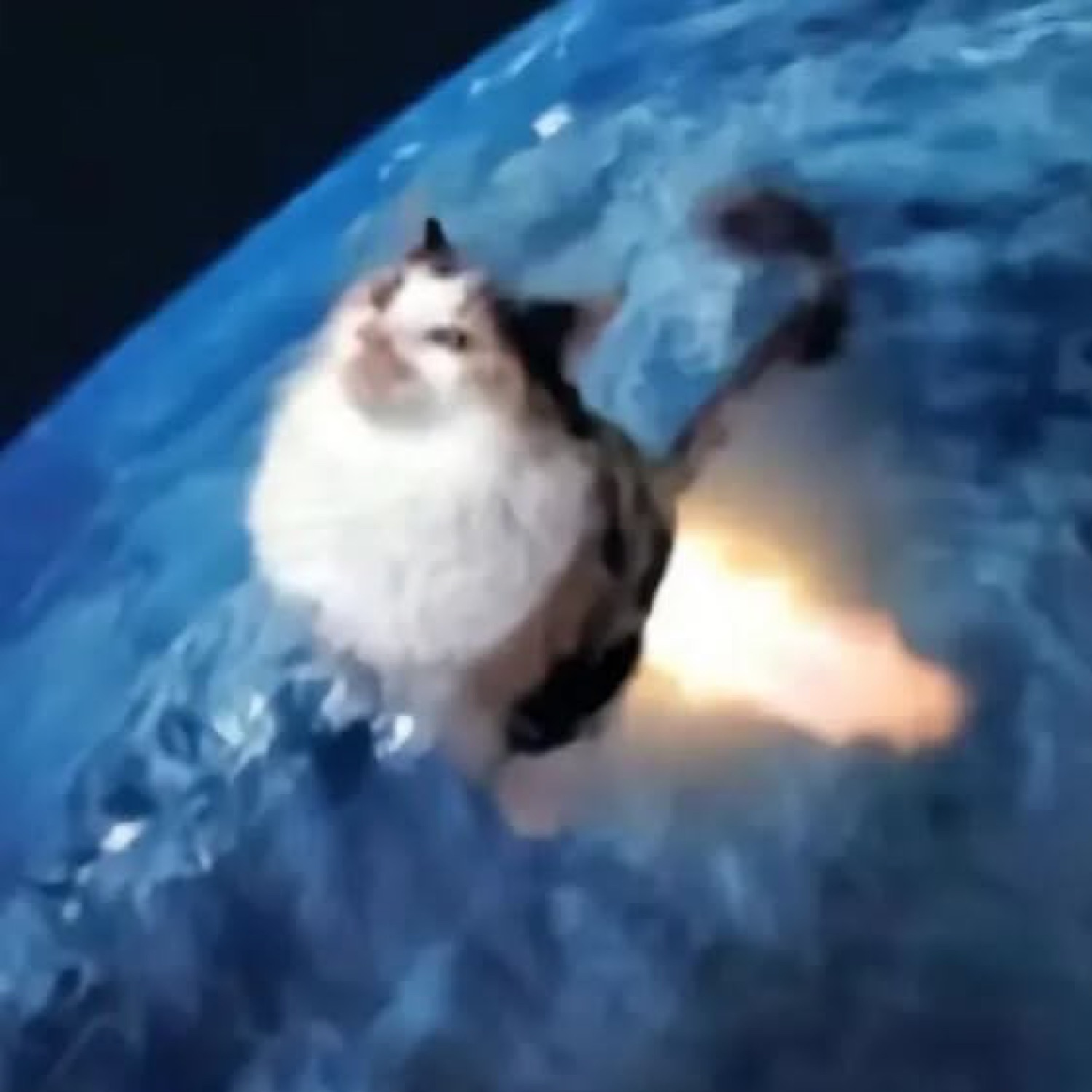 A fluffy cat photoshopped blasting off into space like a rocket over Earth
