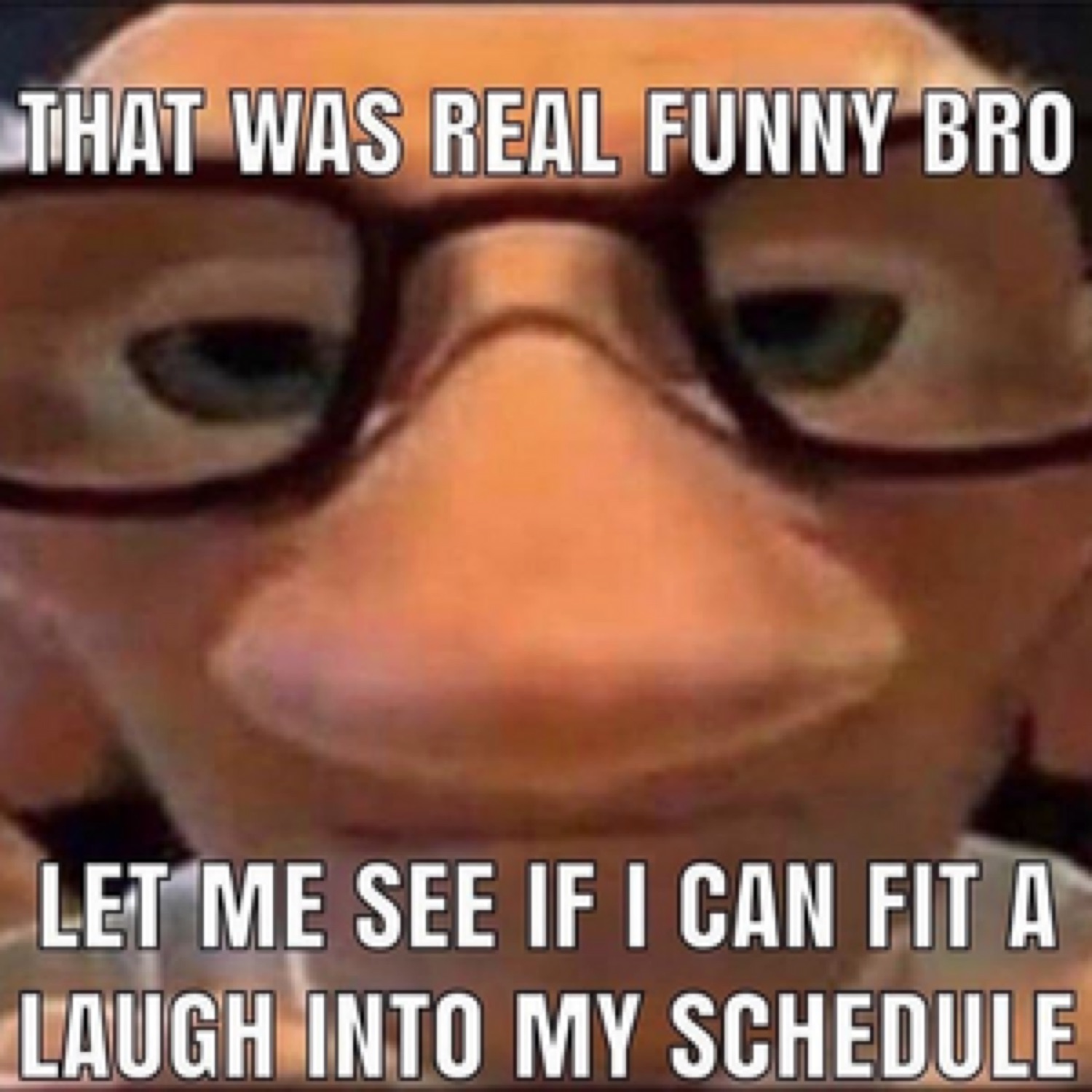 Deadpan puppet-faced guy in glasses captioned about fitting a laugh into his schedule