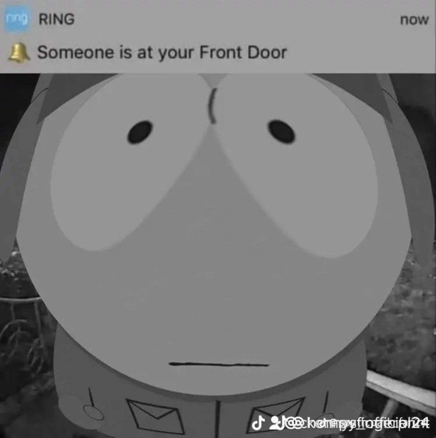 Ring notification 'Someone is at your Front Door' over a South Park kid's face pressed into the doorbell cam