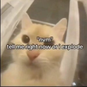 Pale wide-eyed cat staring dead ahead captioned '"nvm" tell me right now or i explode'