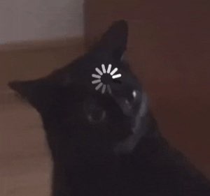 Black cat tilting its head with a spinning loading wheel over its face
