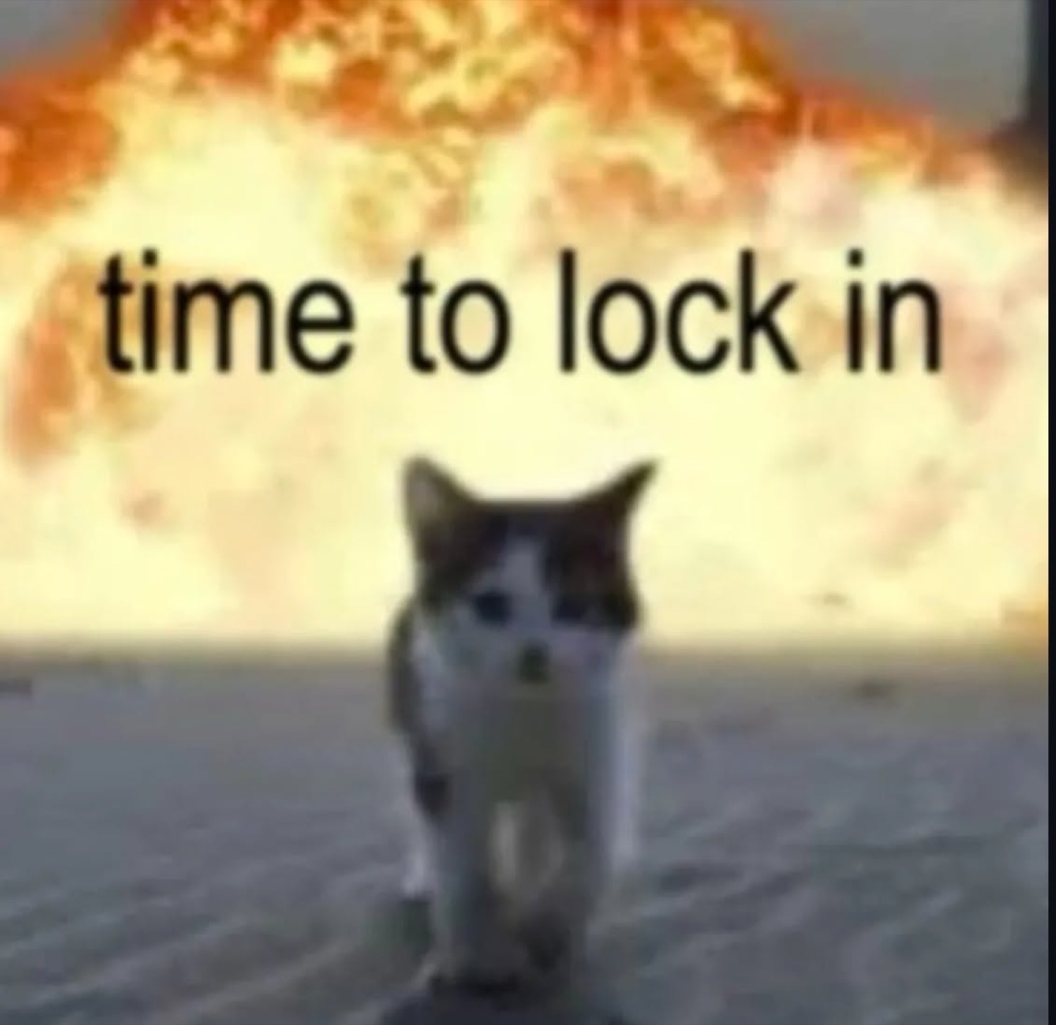 Kitten walking away from a massive explosion captioned 'time to lock in'