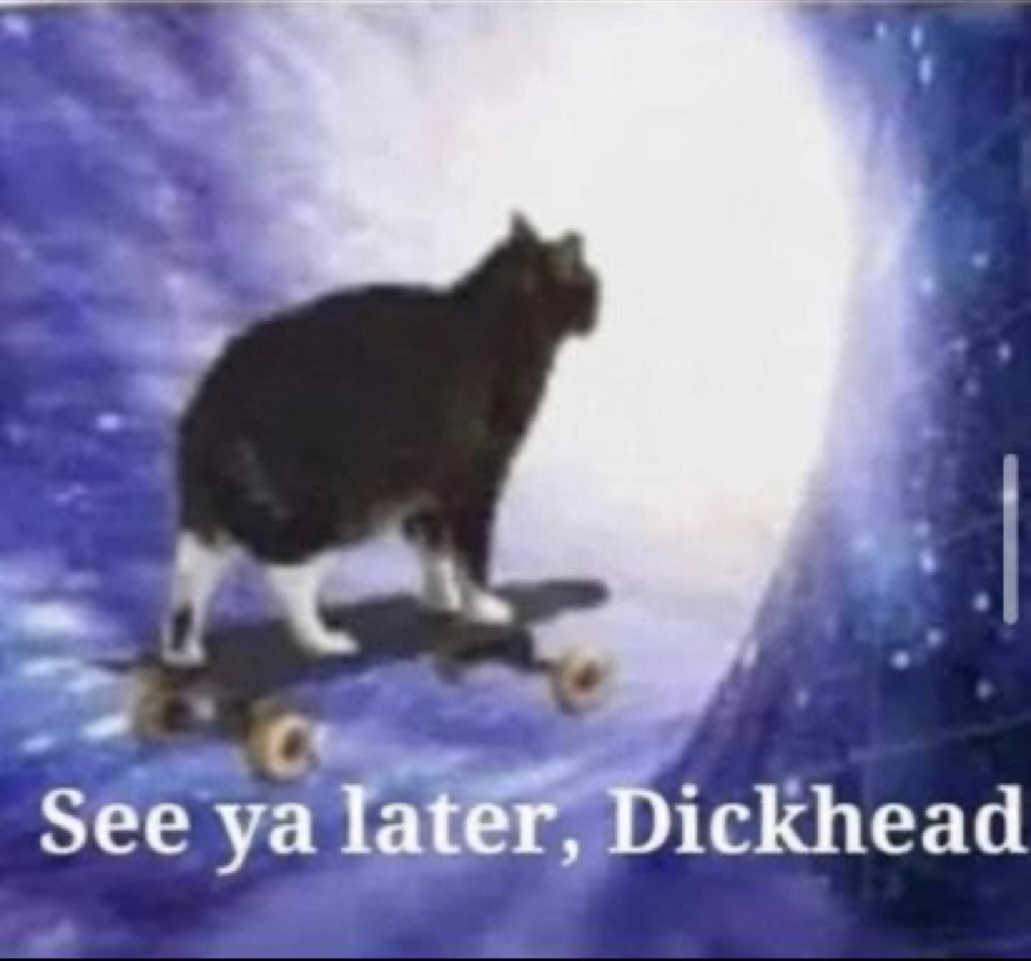 Black cat riding a skateboard through a galaxy portal with 'See ya later, Dickhead'