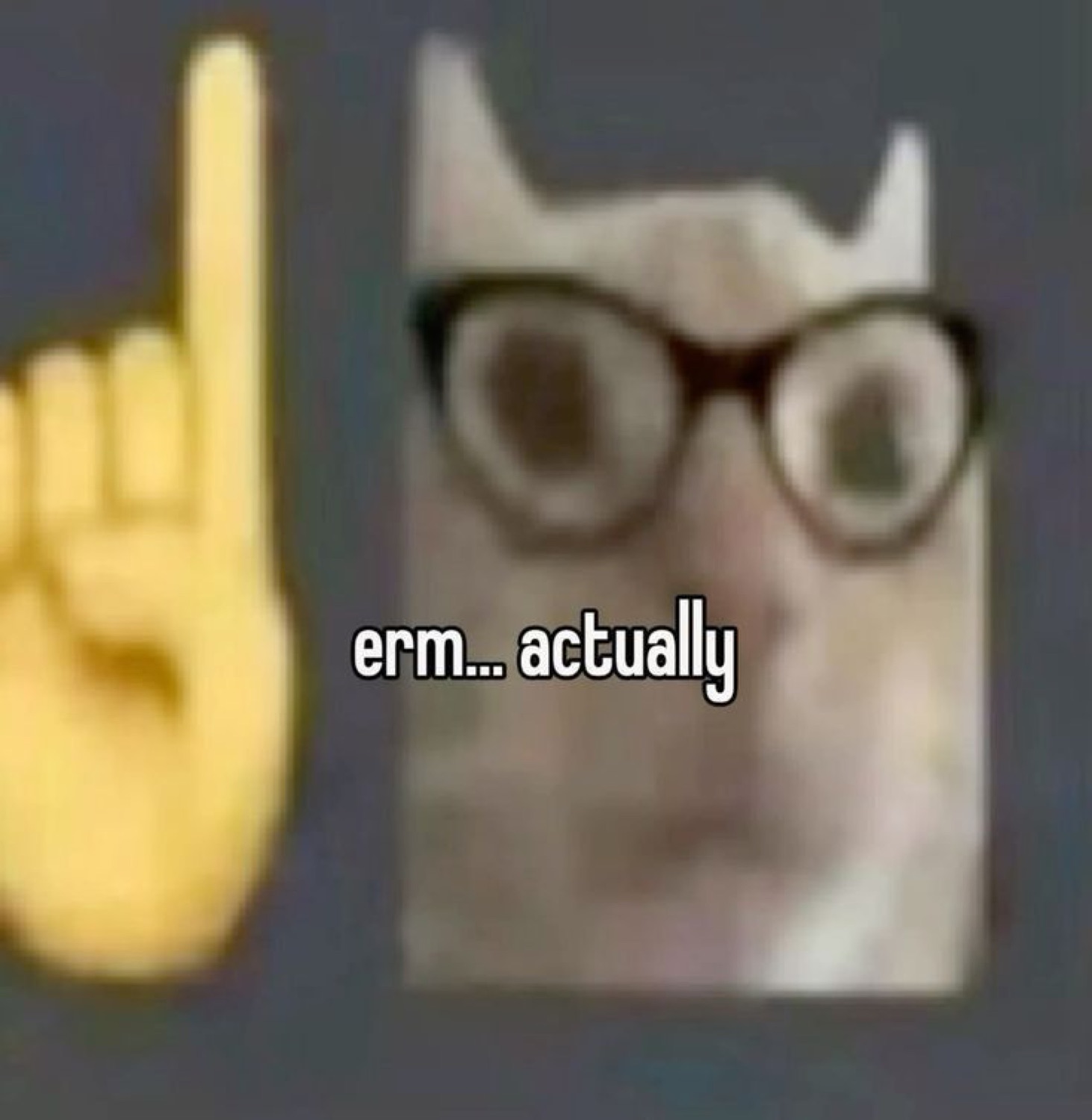 Blurry cat wearing glasses beside a pointing finger, captioned 'erm... actually'