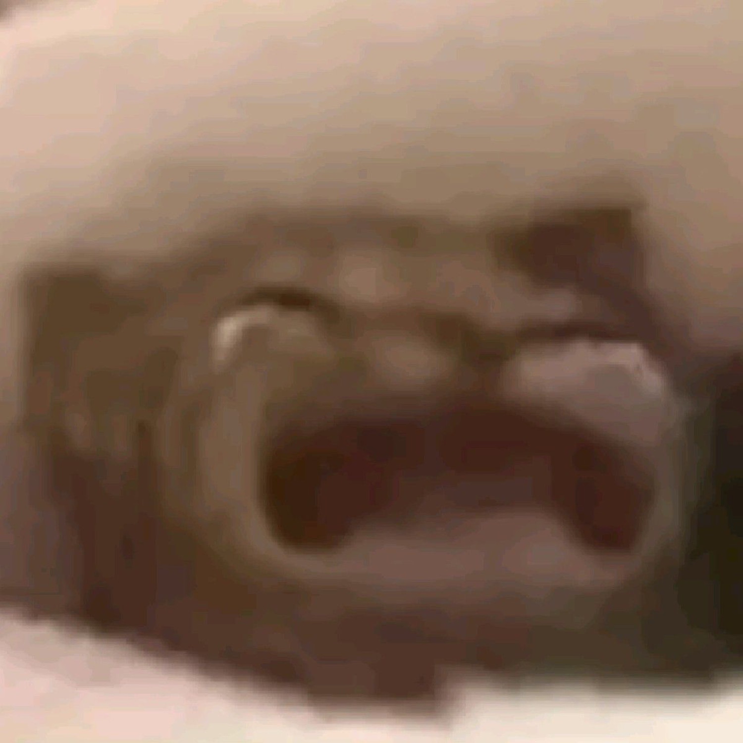 Extremely blurry close-up of an animal mid-wail with its mouth wide open