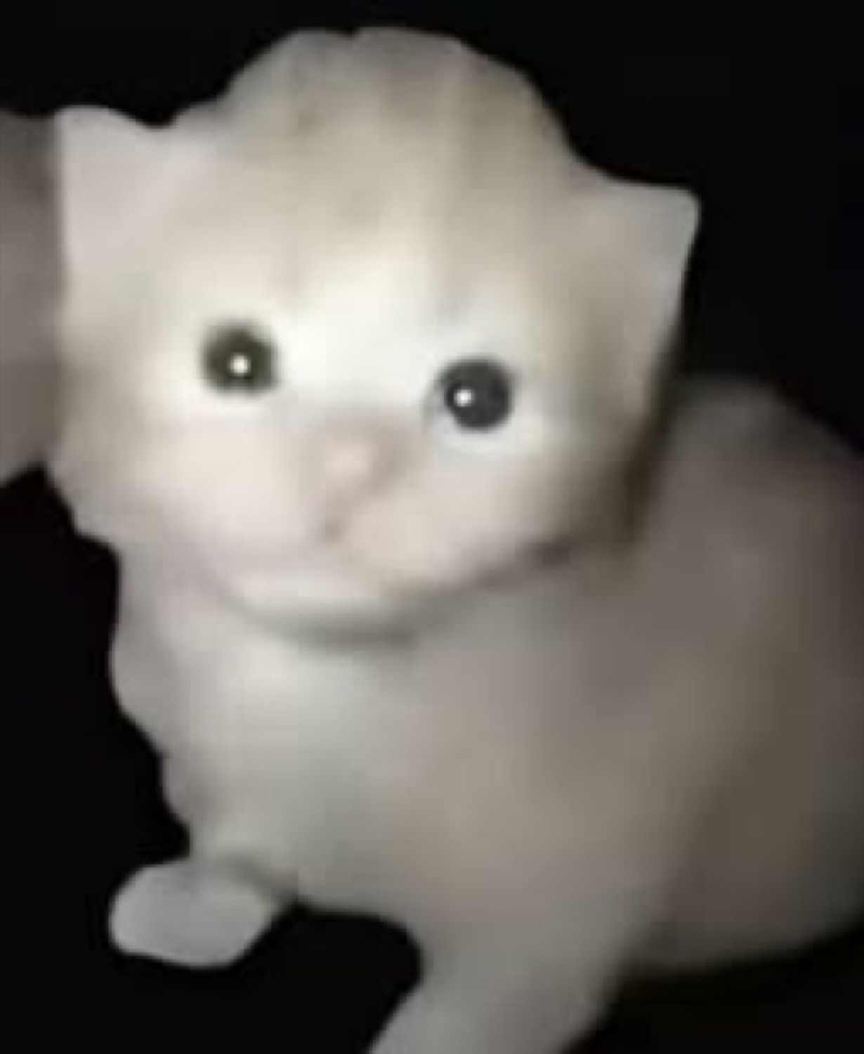Tiny blurry white kitten sitting in the dark with wide glowing eyes