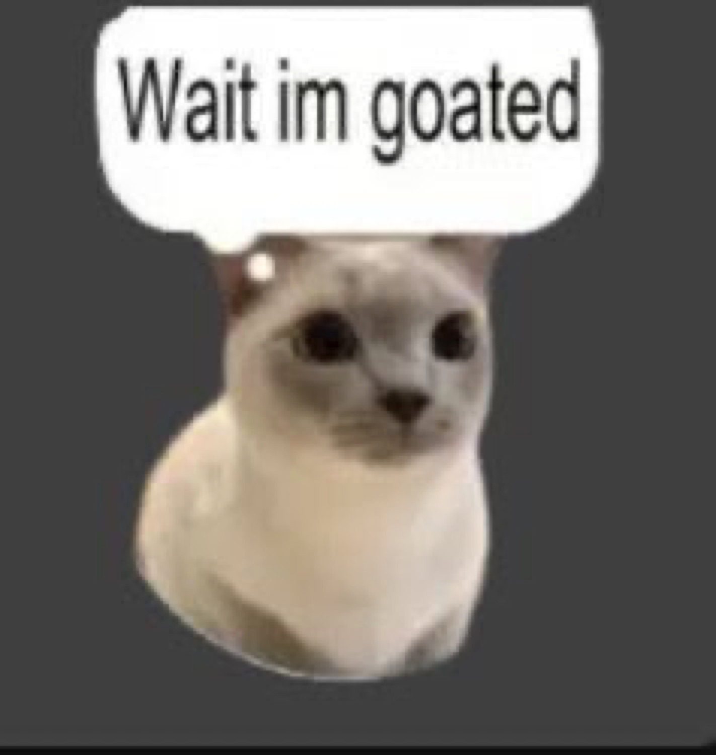 Siamese-looking cat with a speech bubble saying 'Wait im goated'