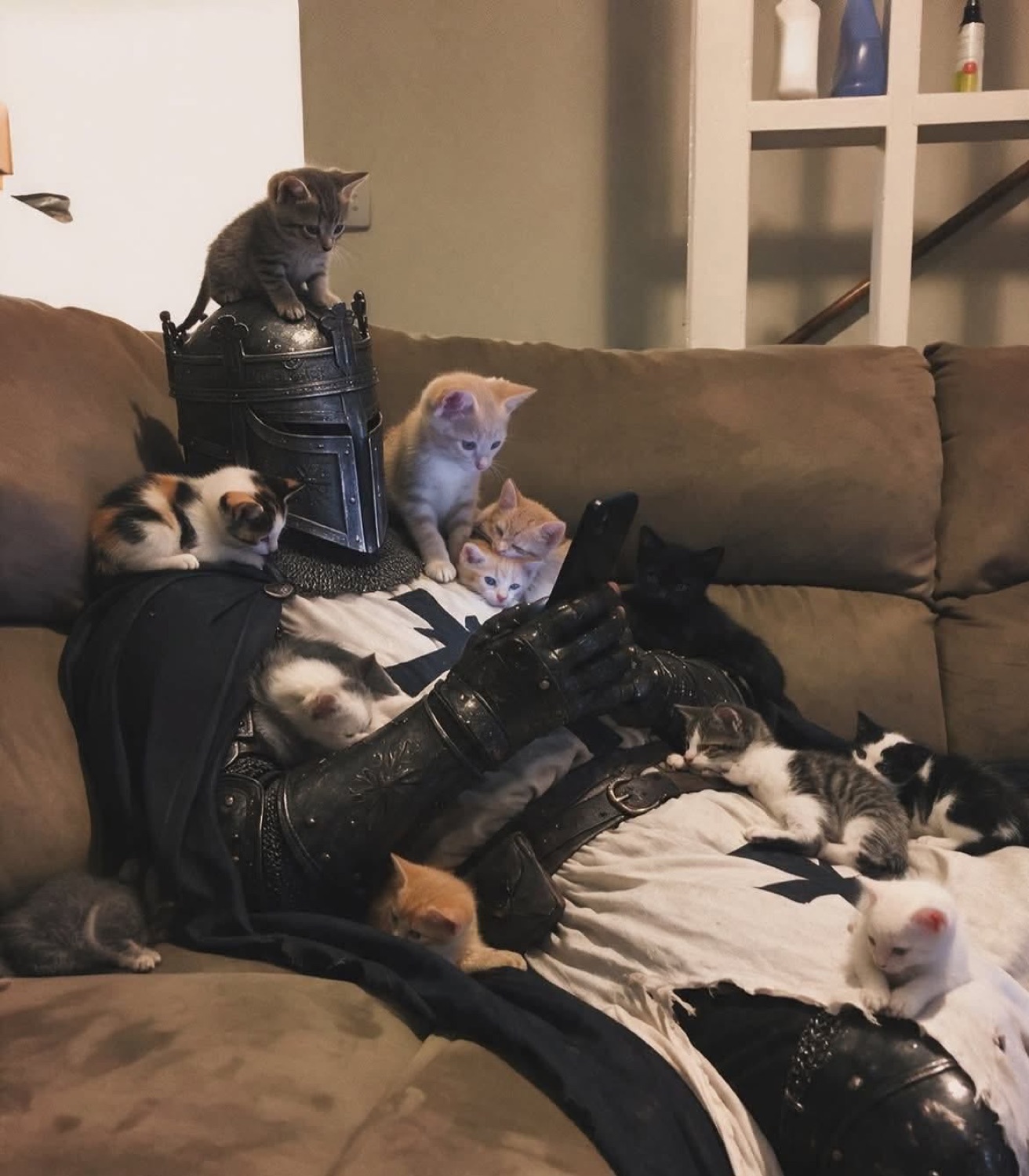 Knight in armor napping on a couch covered in kittens