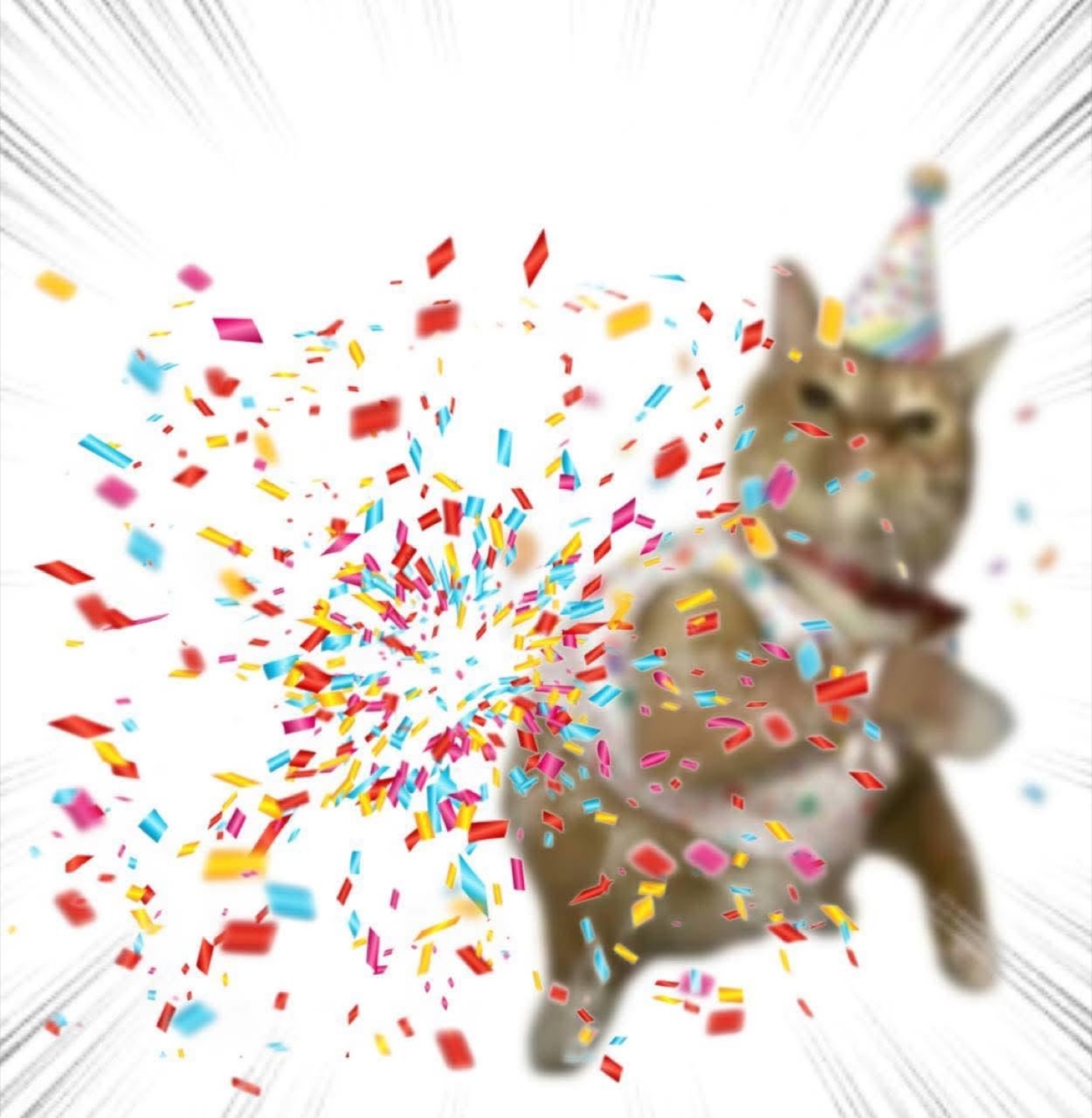 Cat in a party hat leaping through an explosion of confetti