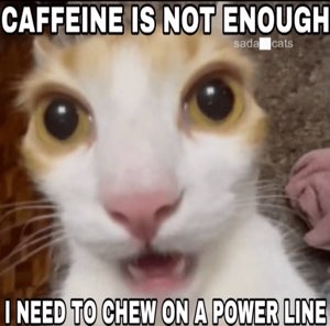 Wide-eyed cat captioned 'caffeine is not enough I need to chew on a power line'