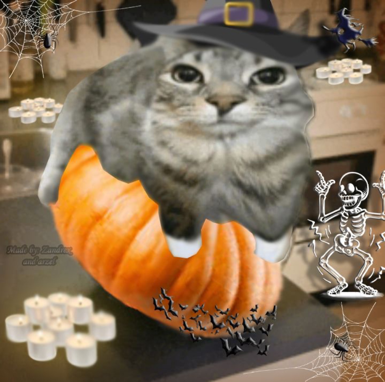 Grey cat riding a pumpkin with skeletons and spiderwebs around it