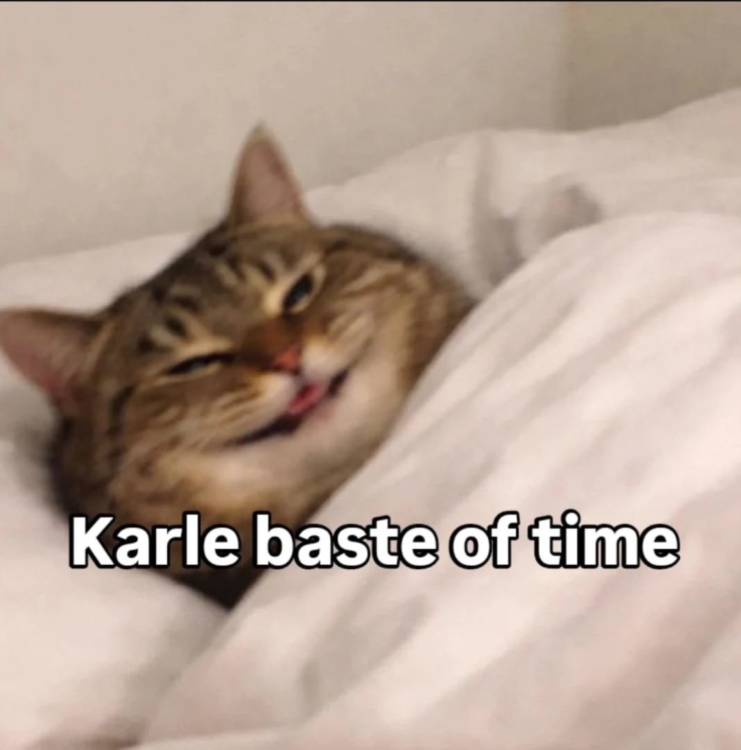 Cat tucked in bed licking its lips with a smug grin, captioned 'Karle baste of time'
