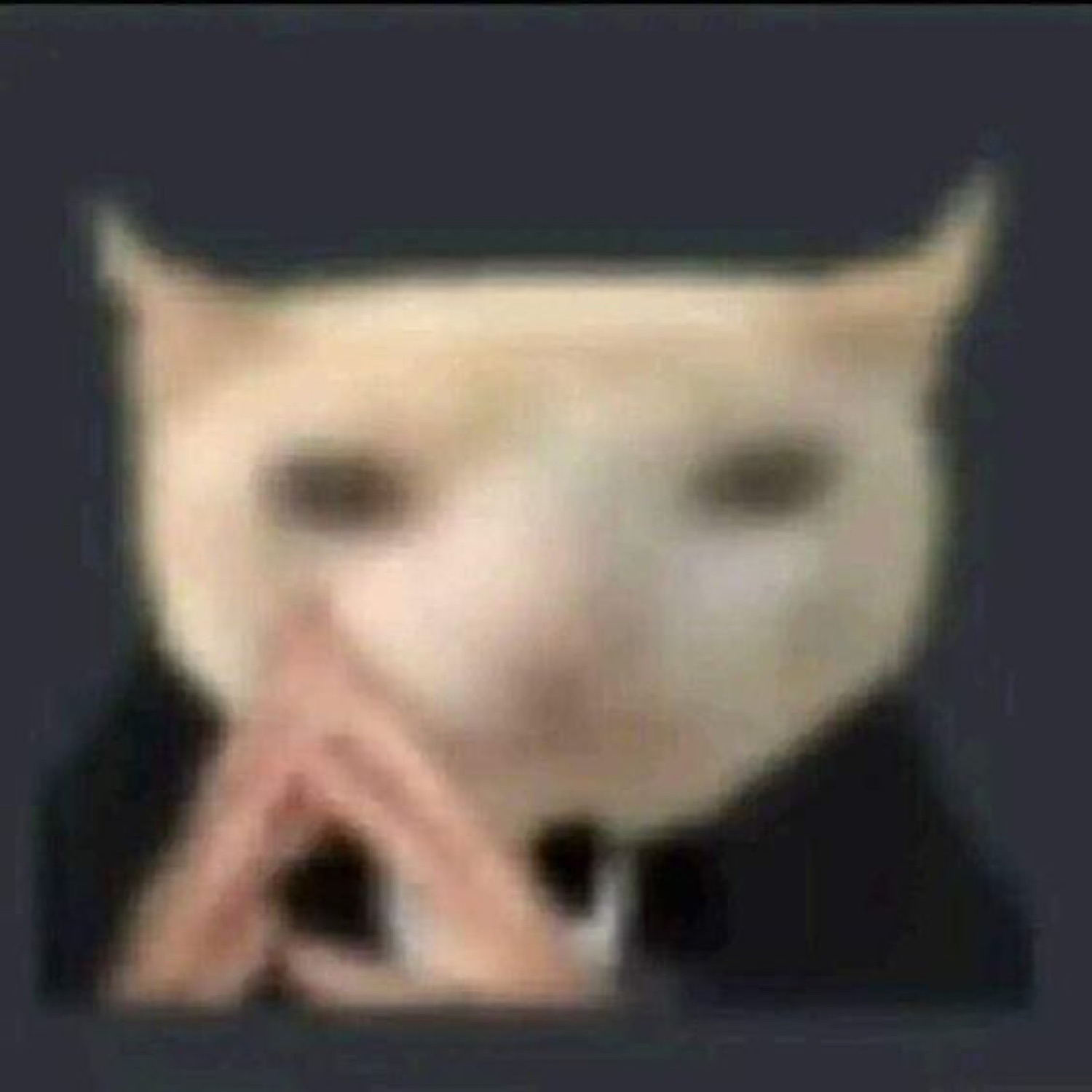 Blurry white cat pressing its paws together against a dark background in a scheming pose