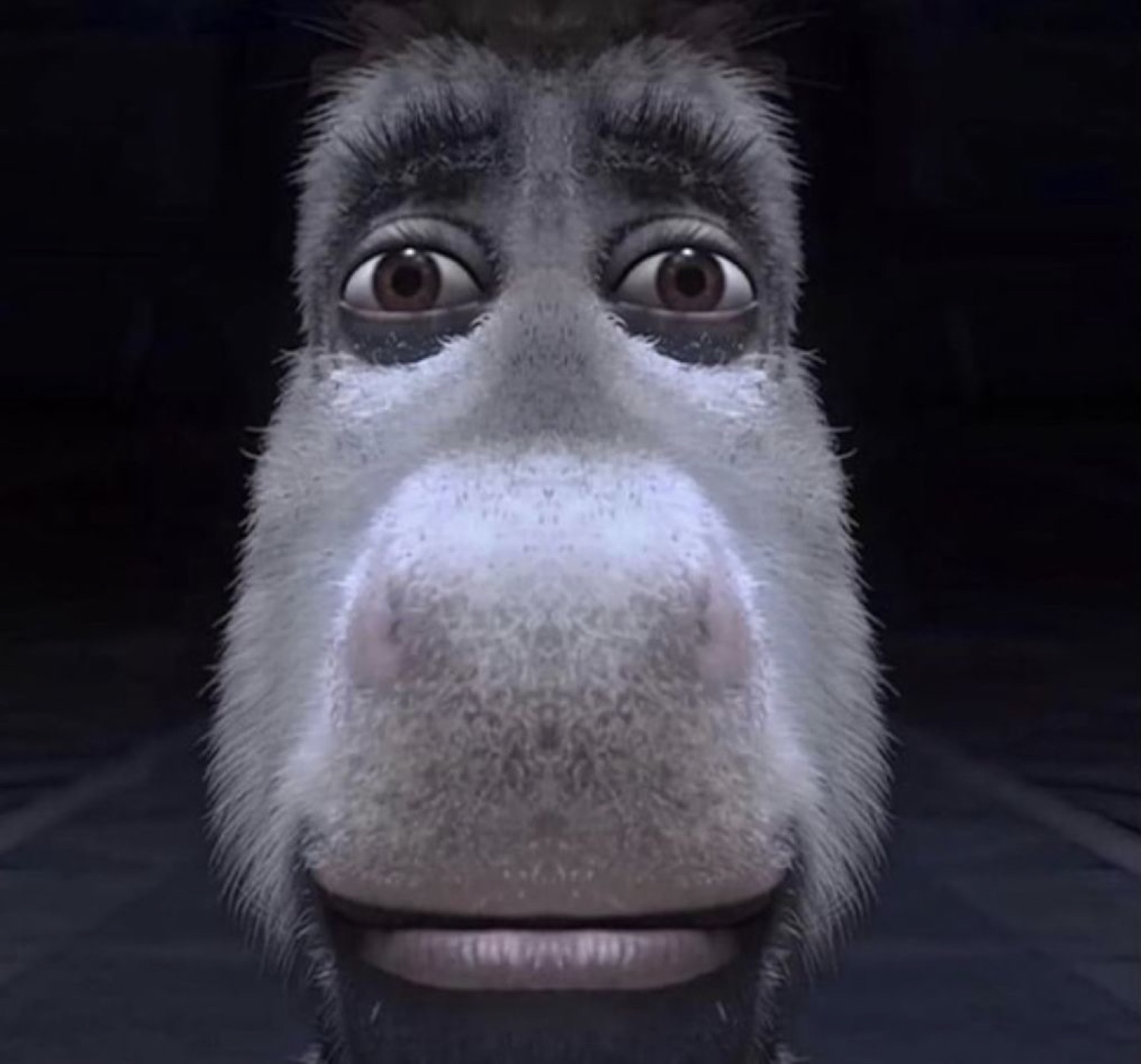 Extreme close-up of an animated donkey's face with an awkward wide-eyed look