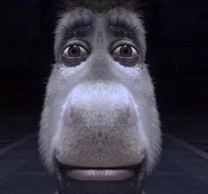 Extreme close-up of an animated donkey's face with an awkward wide-eyed look
