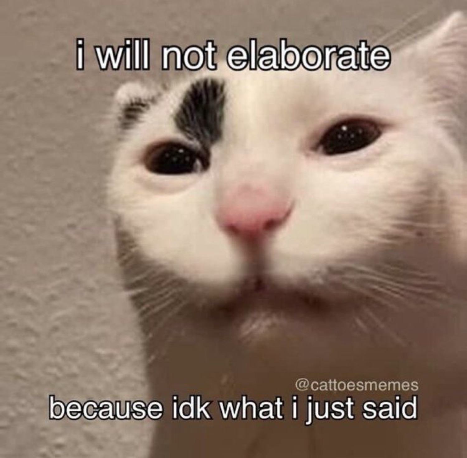 White cat with a smudgy eyebrow captioned 'i will not elaborate because idk what i just said'
