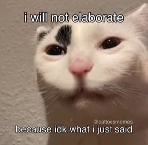 White cat with a smudgy eyebrow captioned 'i will not elaborate because idk what i just said'