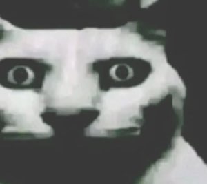 Grainy black-and-white cat with hollow dark eyes staring straight into your soul