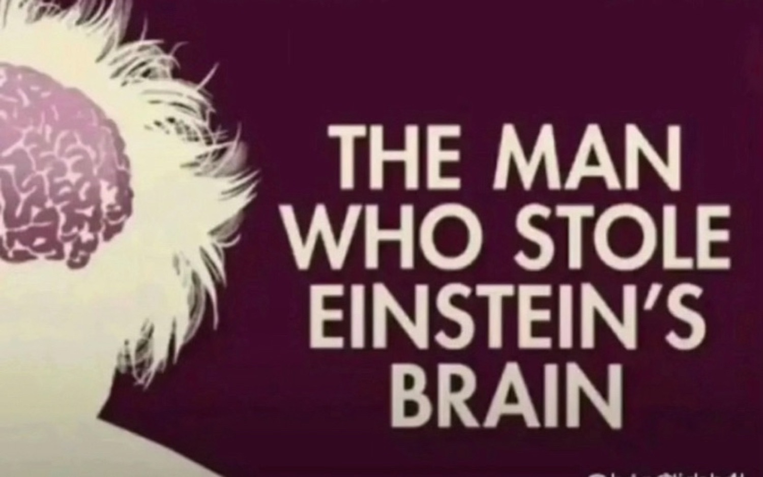 Title card for 'The Man Who Stole Einstein's Brain' over a stylized illustration
