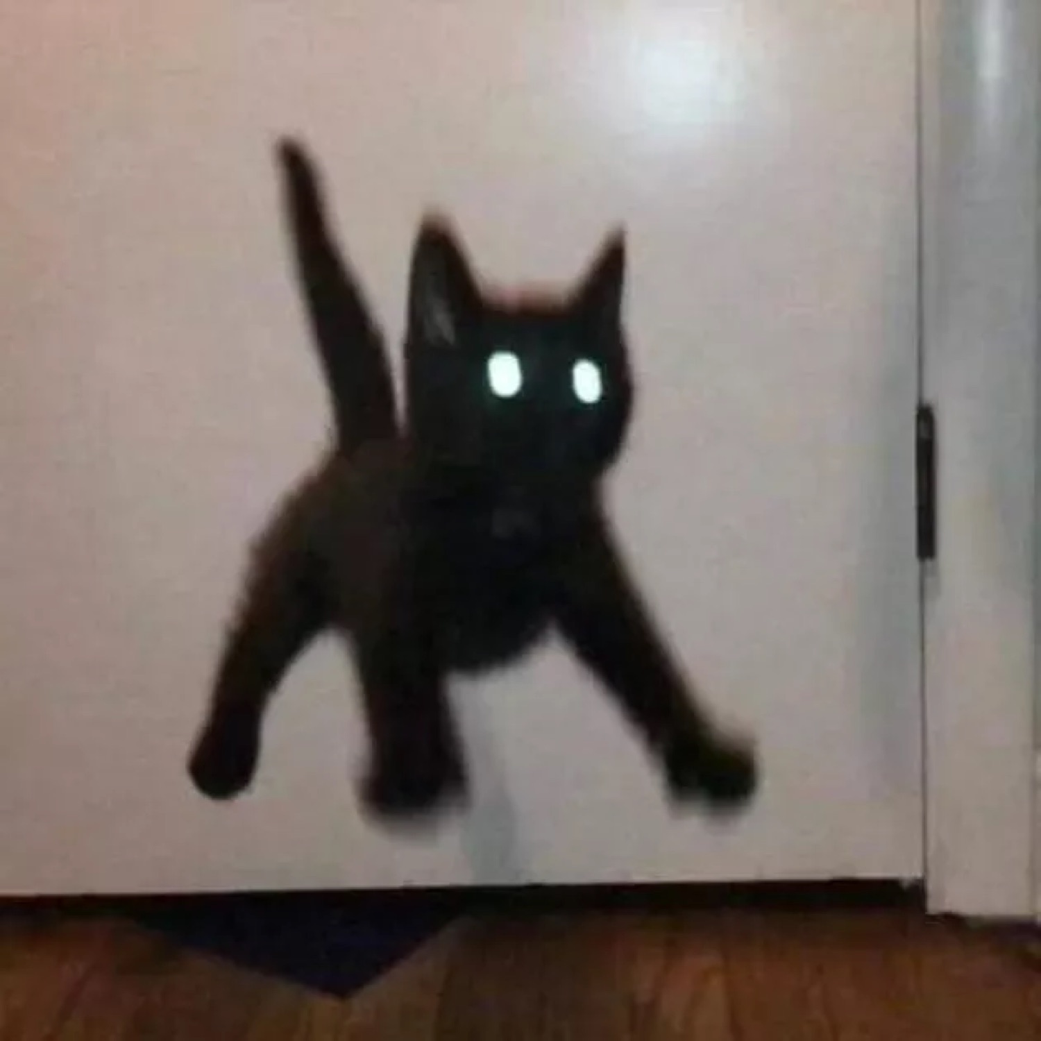 Black cat leaping sideways in a doorway with glowing eyes like a tiny demon