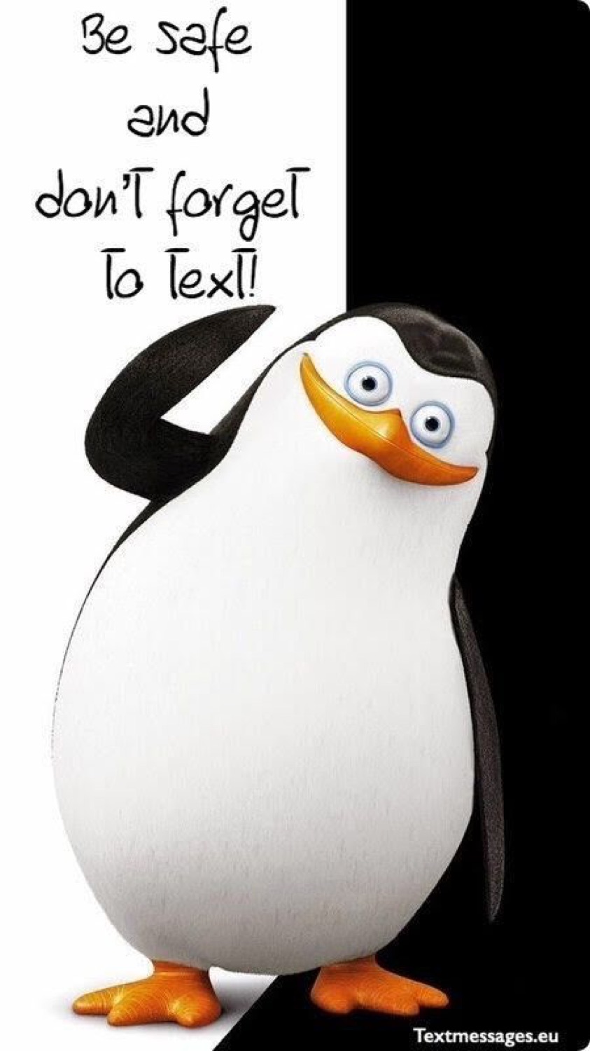 Penguin: 'Be safe and don't forget to text!'