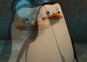 Blurry double-vision penguin from Madagascar with a wide-eyed, confused stare