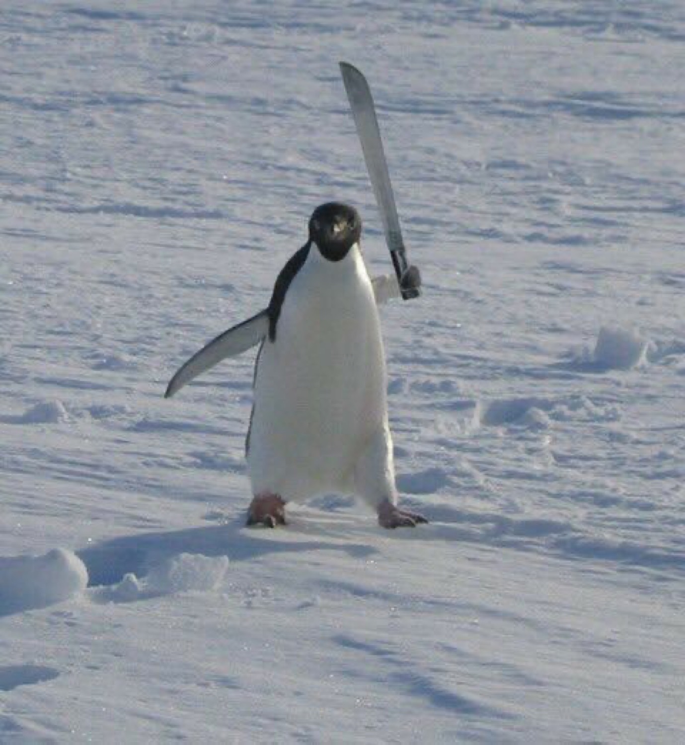 Penguin marching across the snow brandishing a machete like it means business