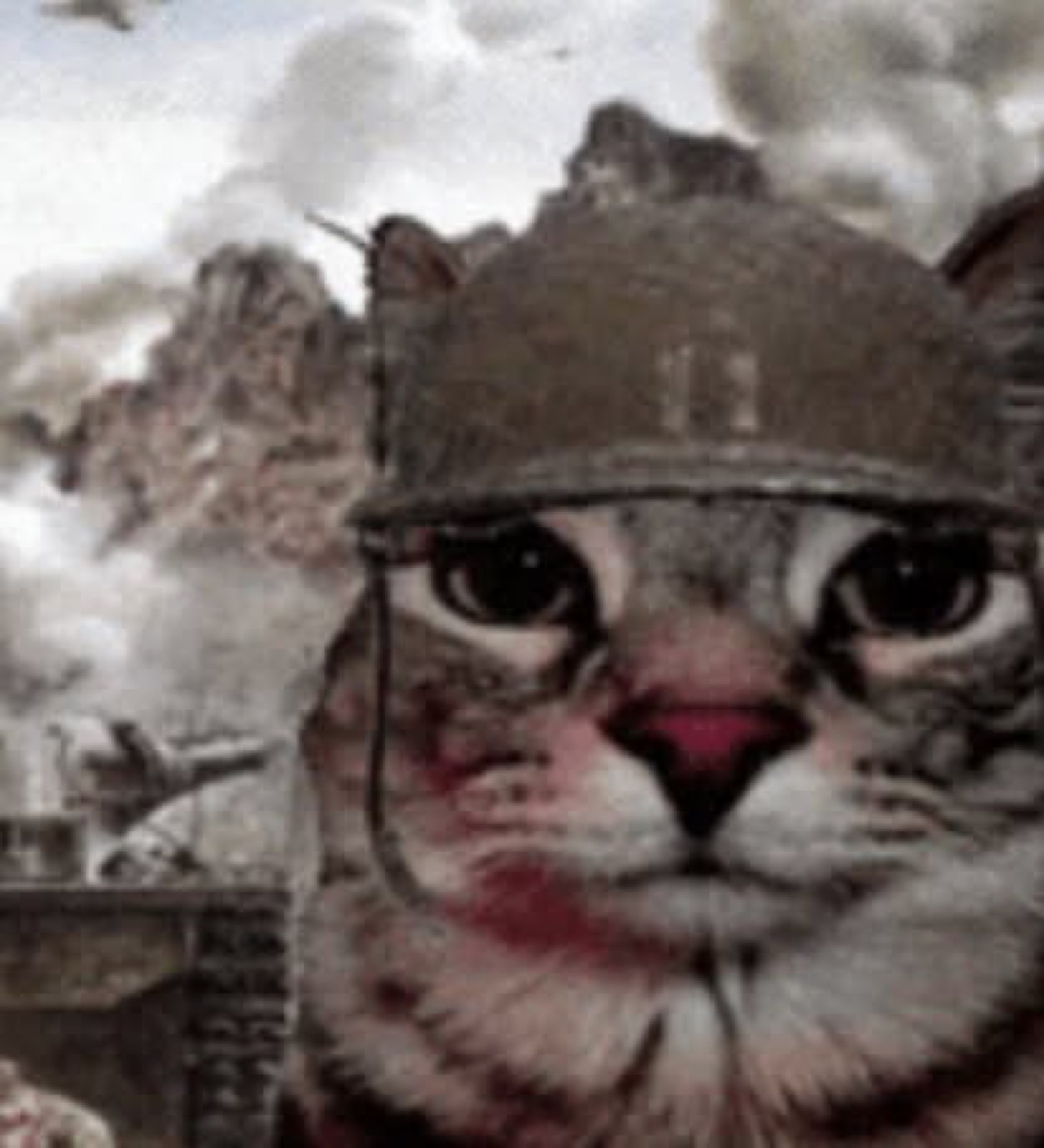 Cat wearing an army helmet with a battlefield behind it, looking sad and shell-shocked