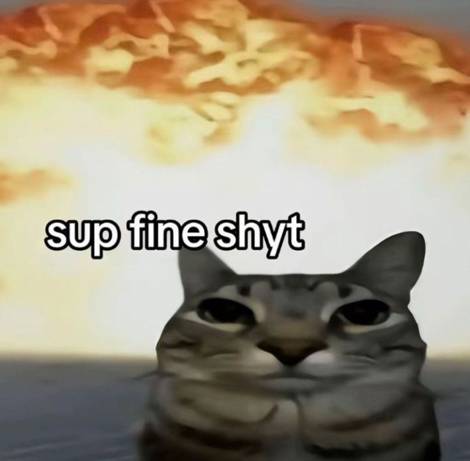 Sleepy-eyed cat rising from water with an explosion behind it, captioned 'sup fine shyt'