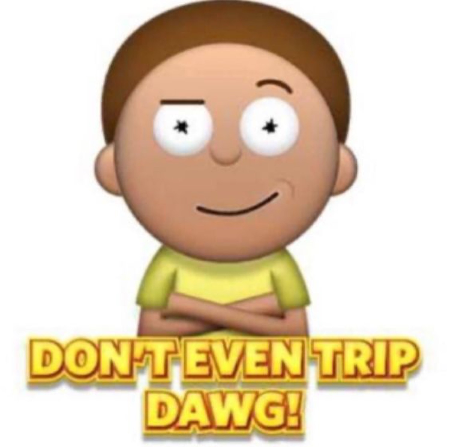 Cartoon Morty with X-ed out eyes and arms crossed: 'DON'T EVEN TRIP DAWG!'