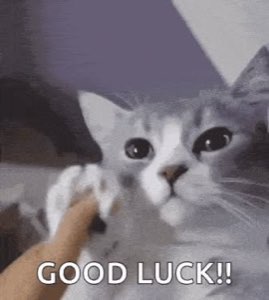 Gray cat raising a paw: 'GOOD LUCK!!'