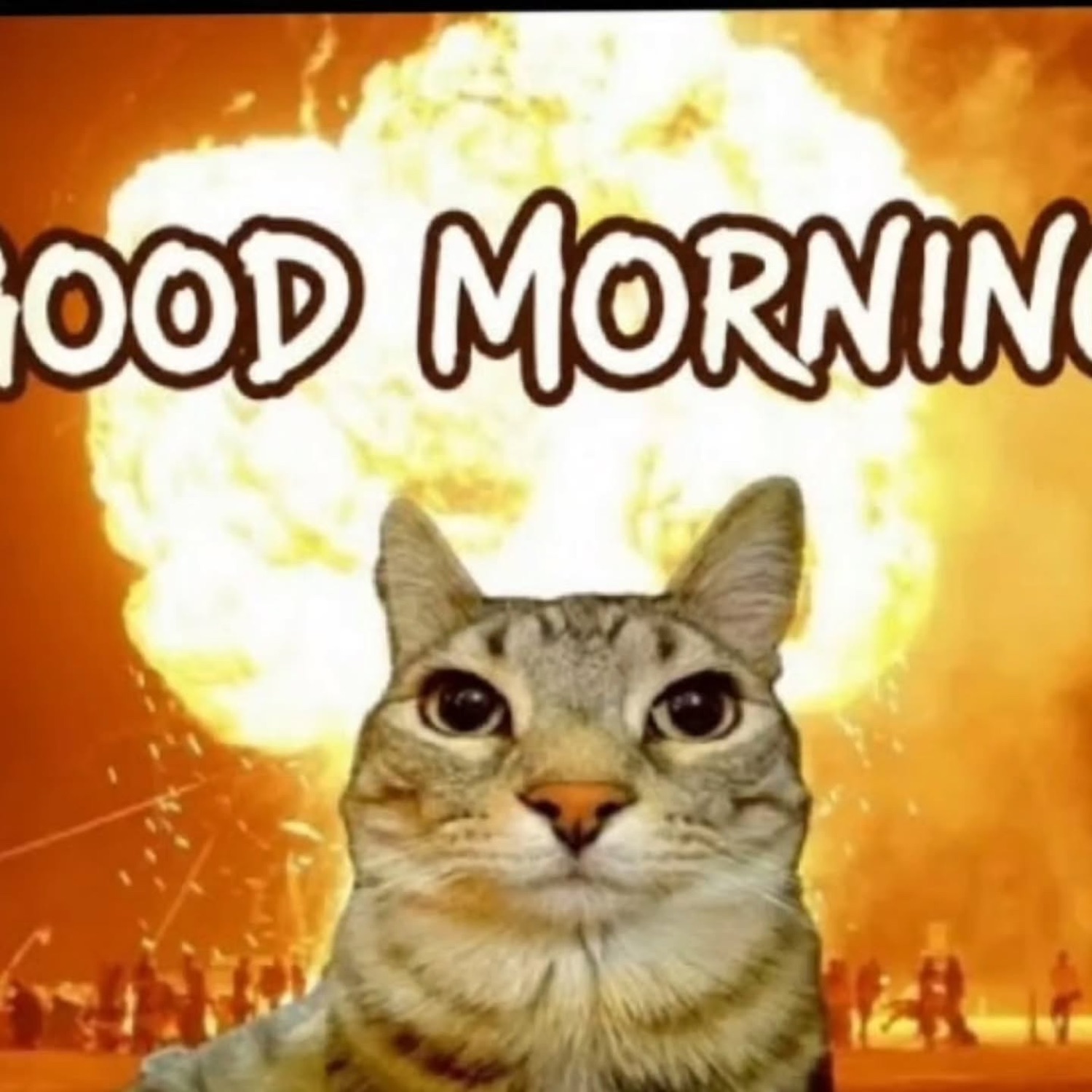 Cat staring calmly in front of an explosion: 'GOOD MORNING'