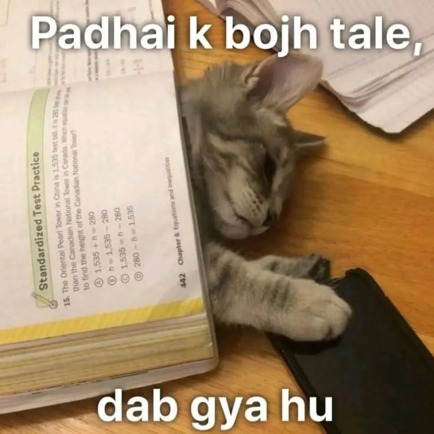 Cat asleep face-down on a test-prep book: 'Padhai k bojh tale, dab gya hu' (crushed under the weight of studying)