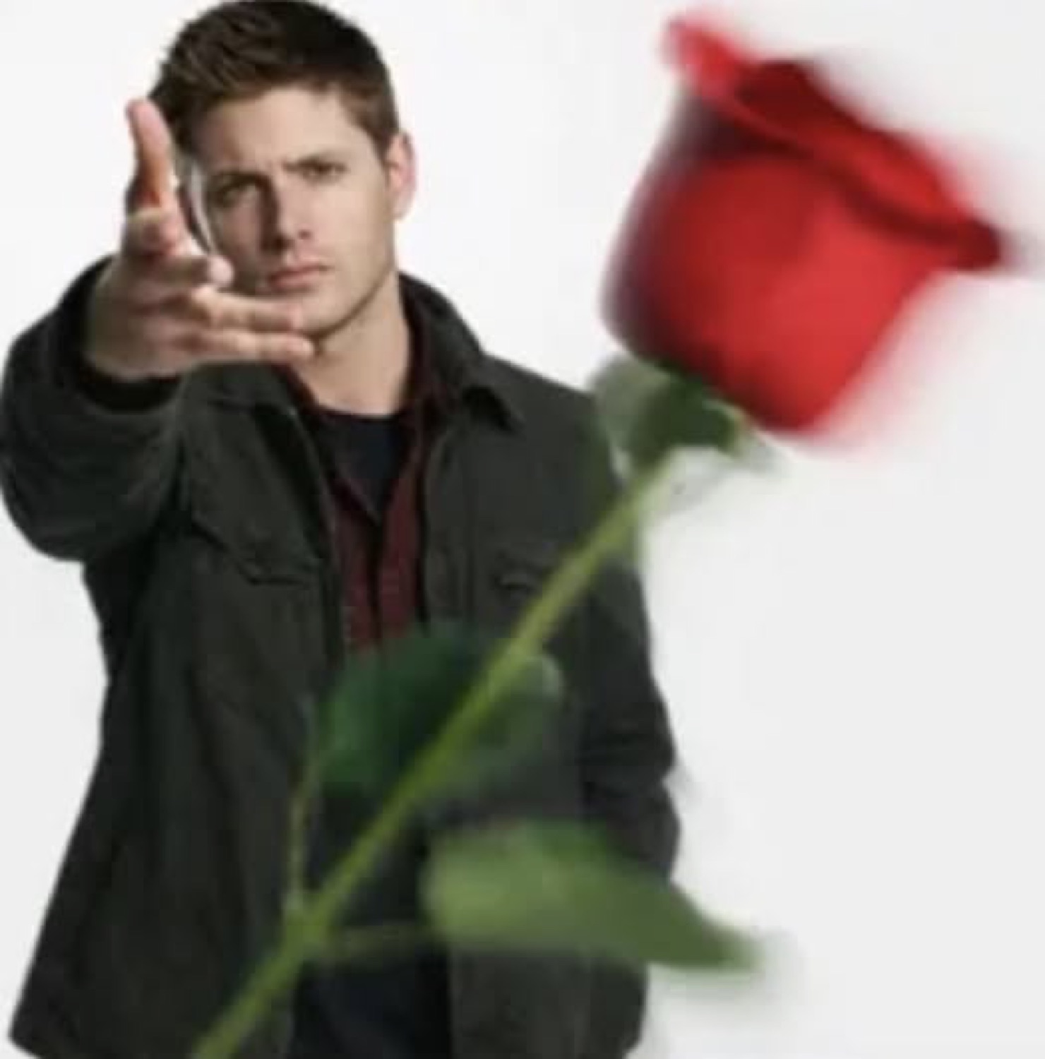 Handsome man in dark jacket extending a single red rose directly toward camera