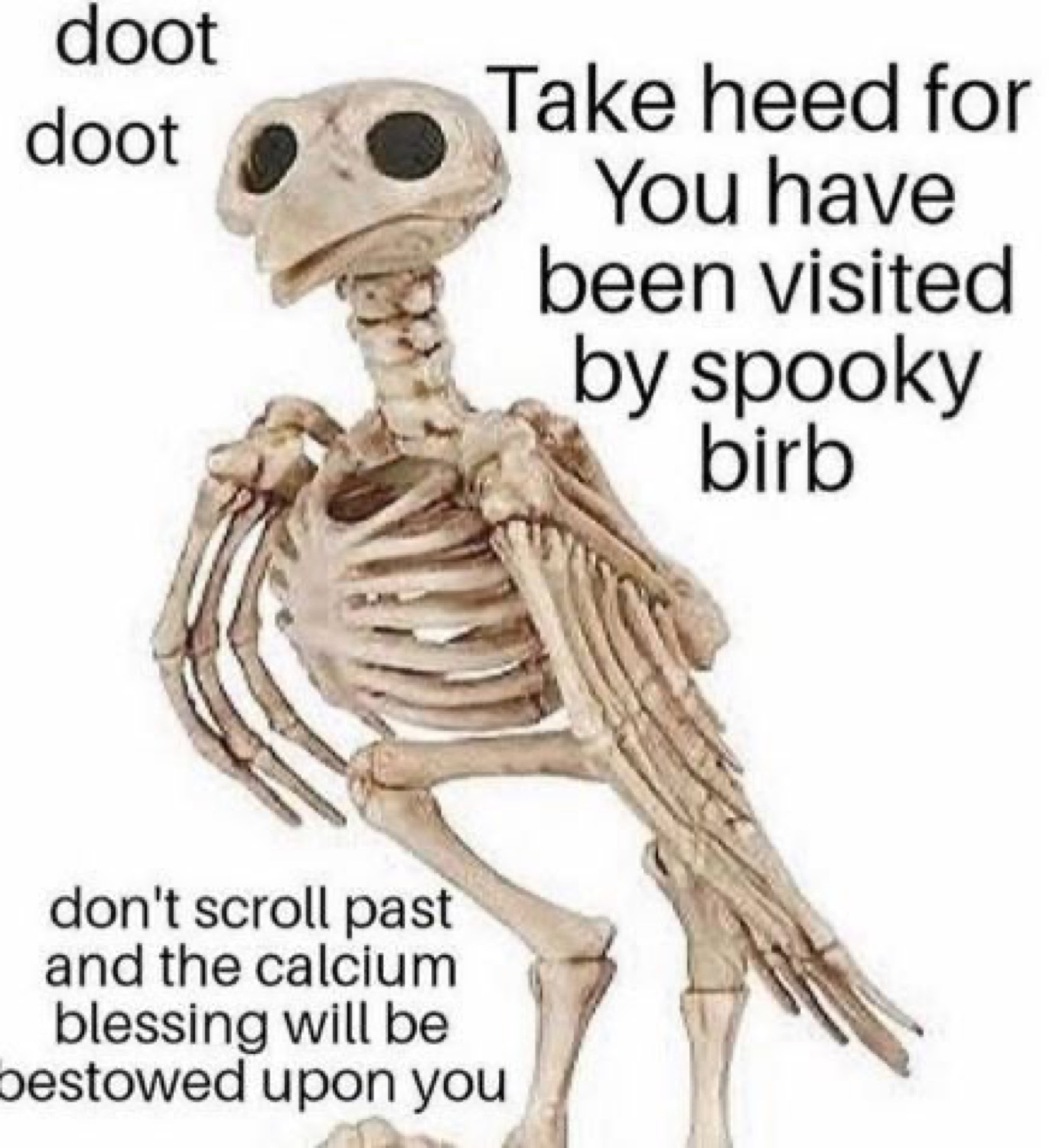 Bird skeleton with 'doot doot Take heed for You have been visited by spooky birb'