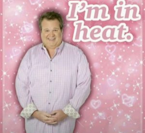 Smiling man on a sparkly pink hearts background captioned 'I'm in heat.'