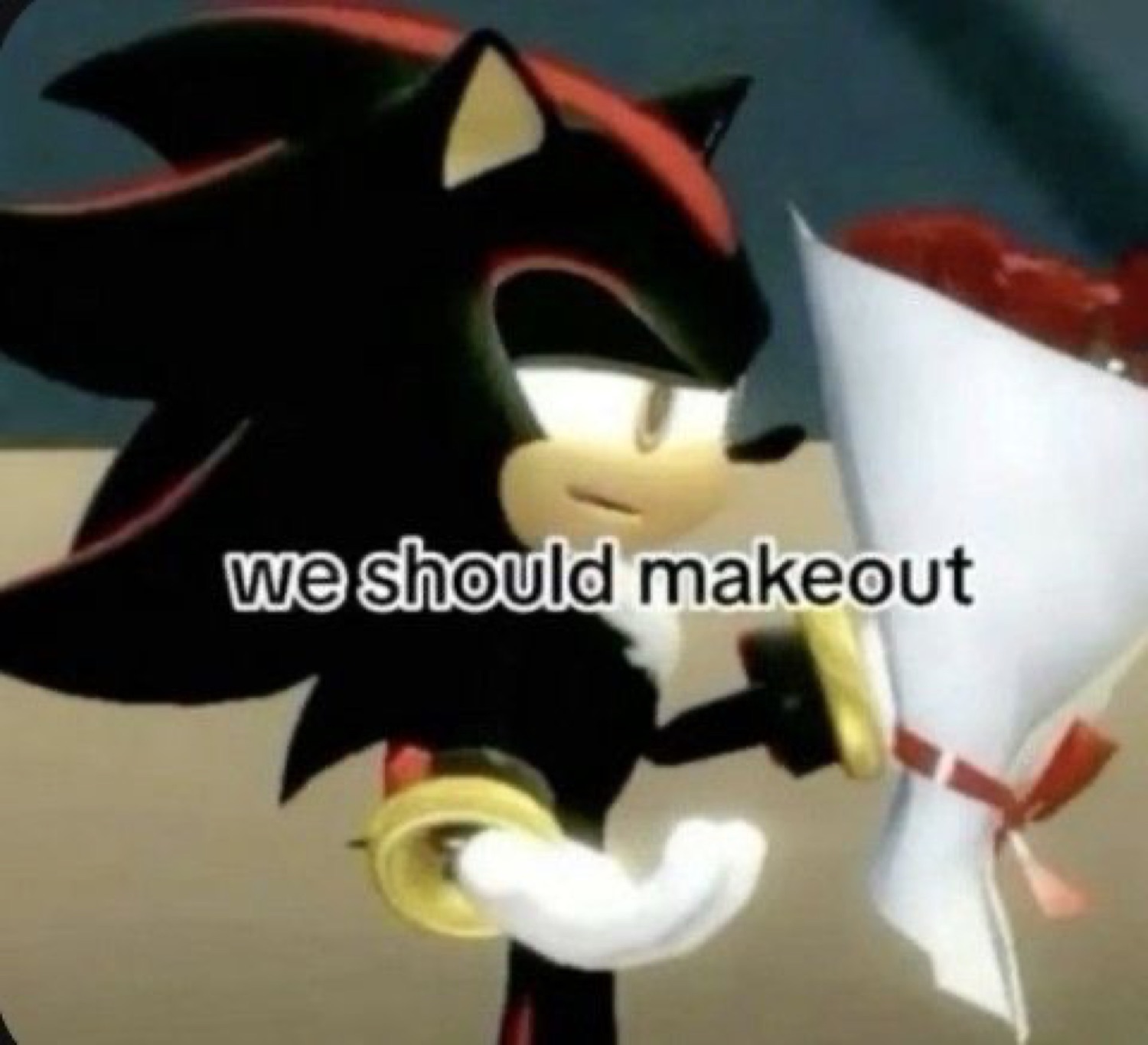 Shadow the Hedgehog deadpan with a bouquet of roses, captioned 'we should makeout'