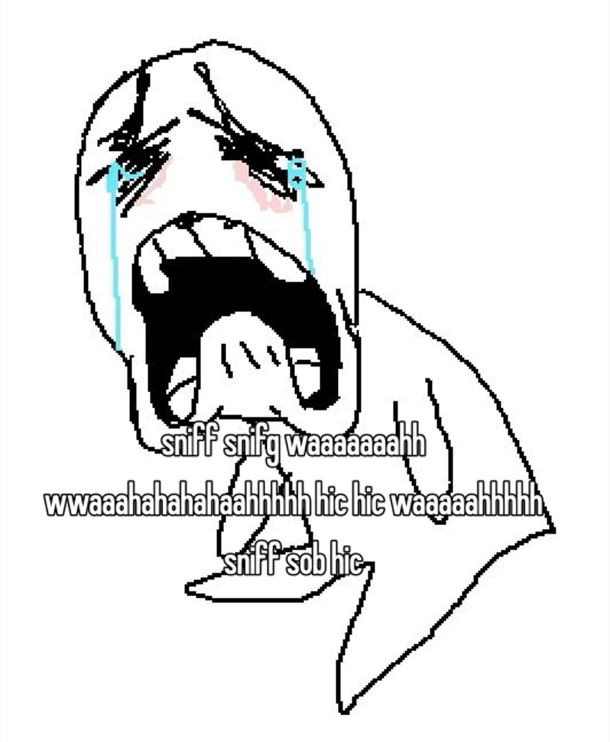Rage-comic crying face sobbing dramatically, captioned 'sniff snifg waaaaaaahh'