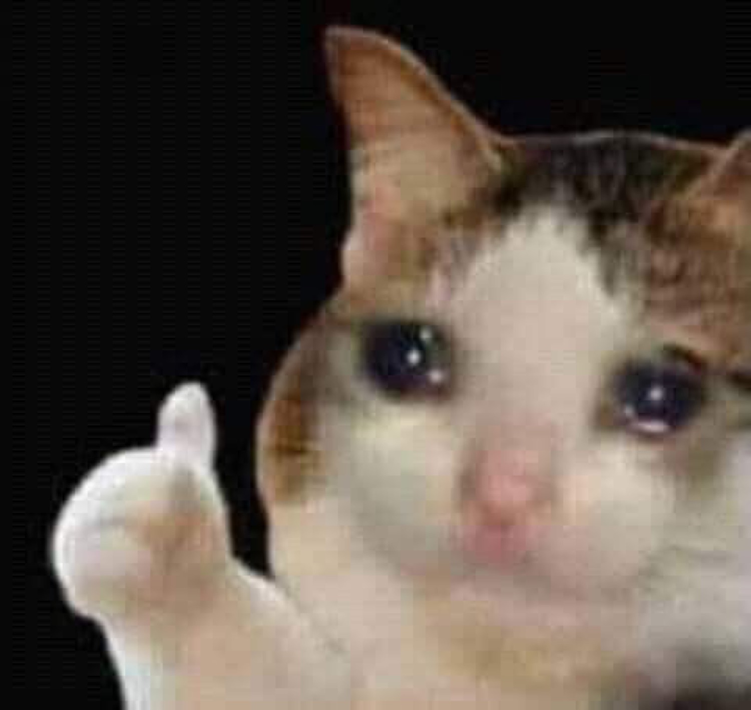 Teary-eyed cat giving a brave thumbs-up while holding back tears
