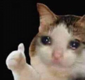 Teary-eyed cat giving a brave thumbs-up while holding back tears