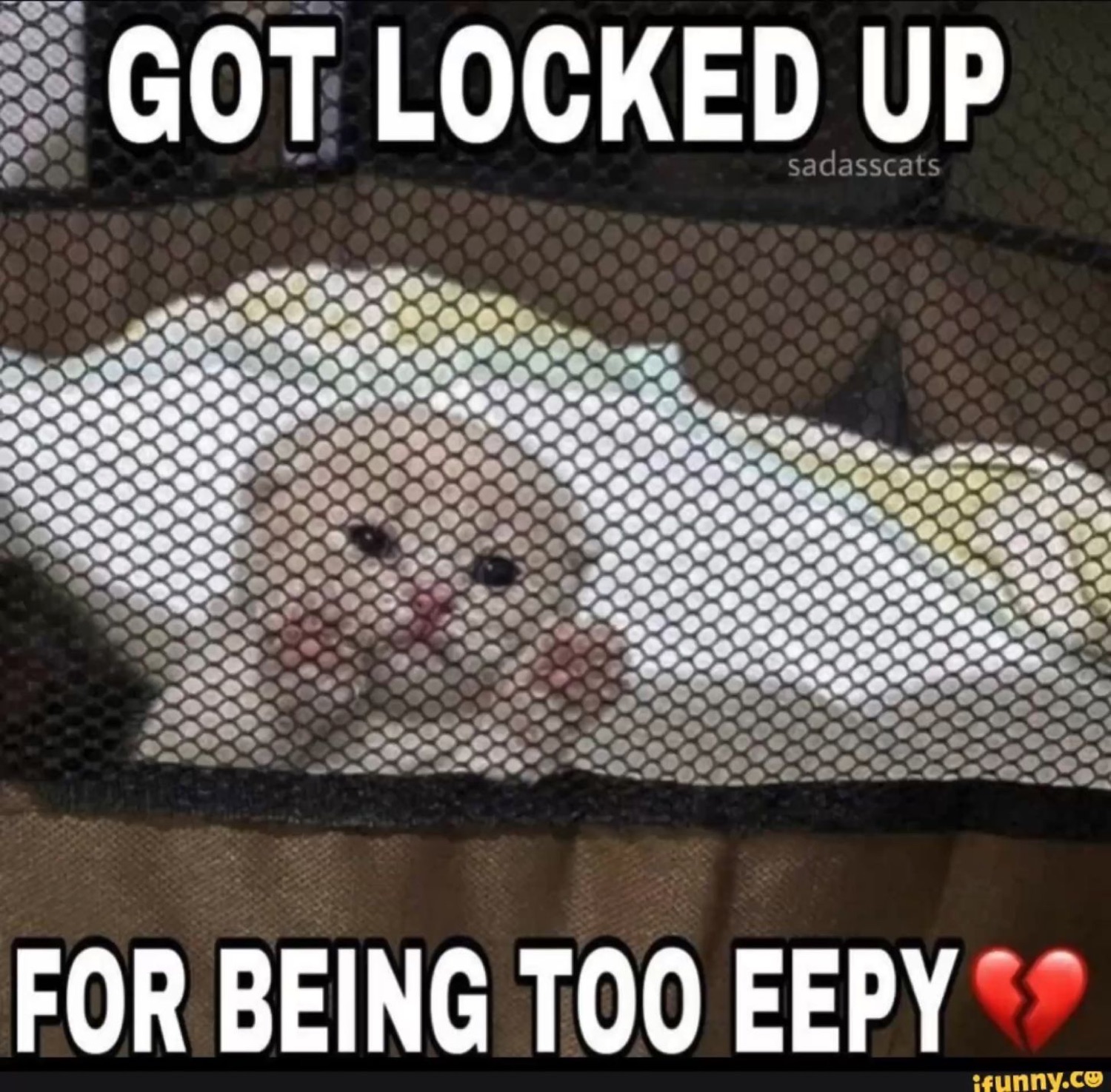 Fluffy cat lying in a mesh playpen under 'GOT LOCKED UP FOR BEING TOO EEPY 💔'