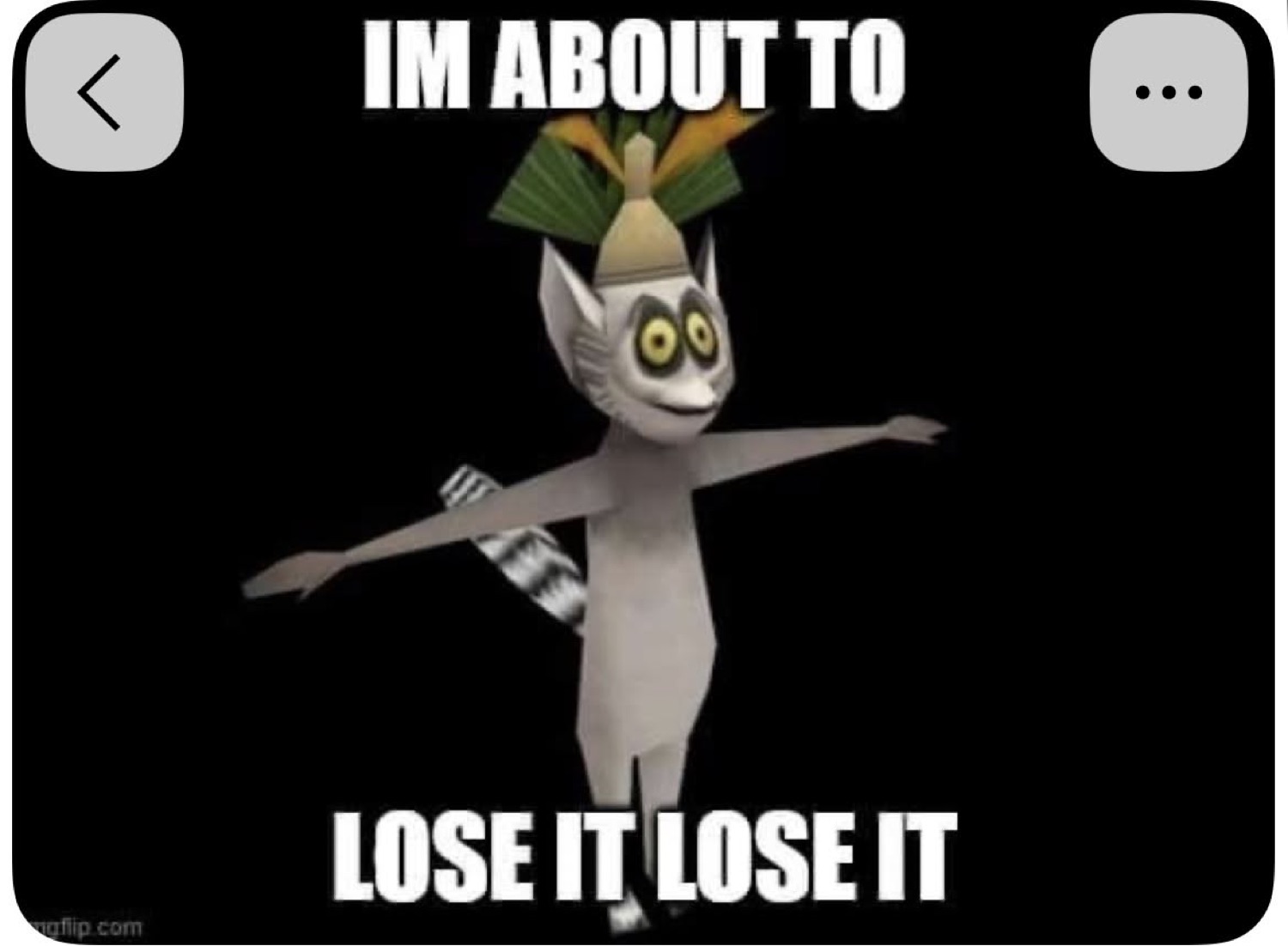King Julien from Madagascar T-posing with arms out — 'IM ABOUT TO LOSE IT LOSE IT'