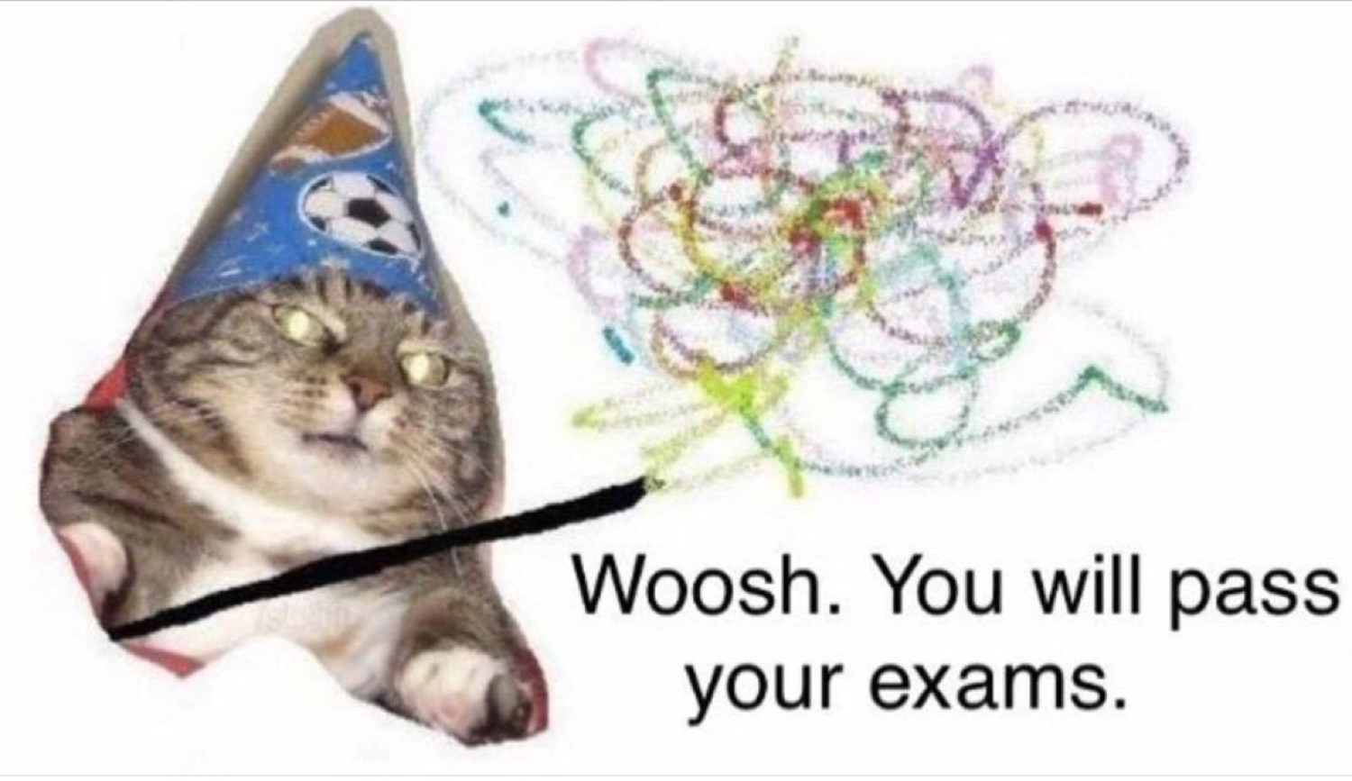 Wizard cat with a scribble wand: 'Woosh. You will pass your exams.'