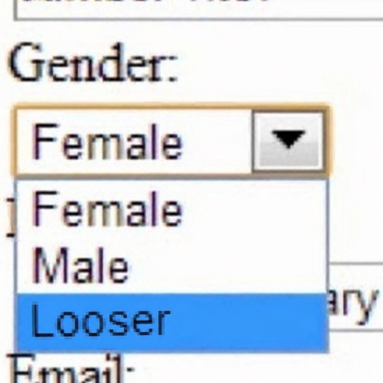 Website gender dropdown with options Female, Male and 'Looser' highlighted