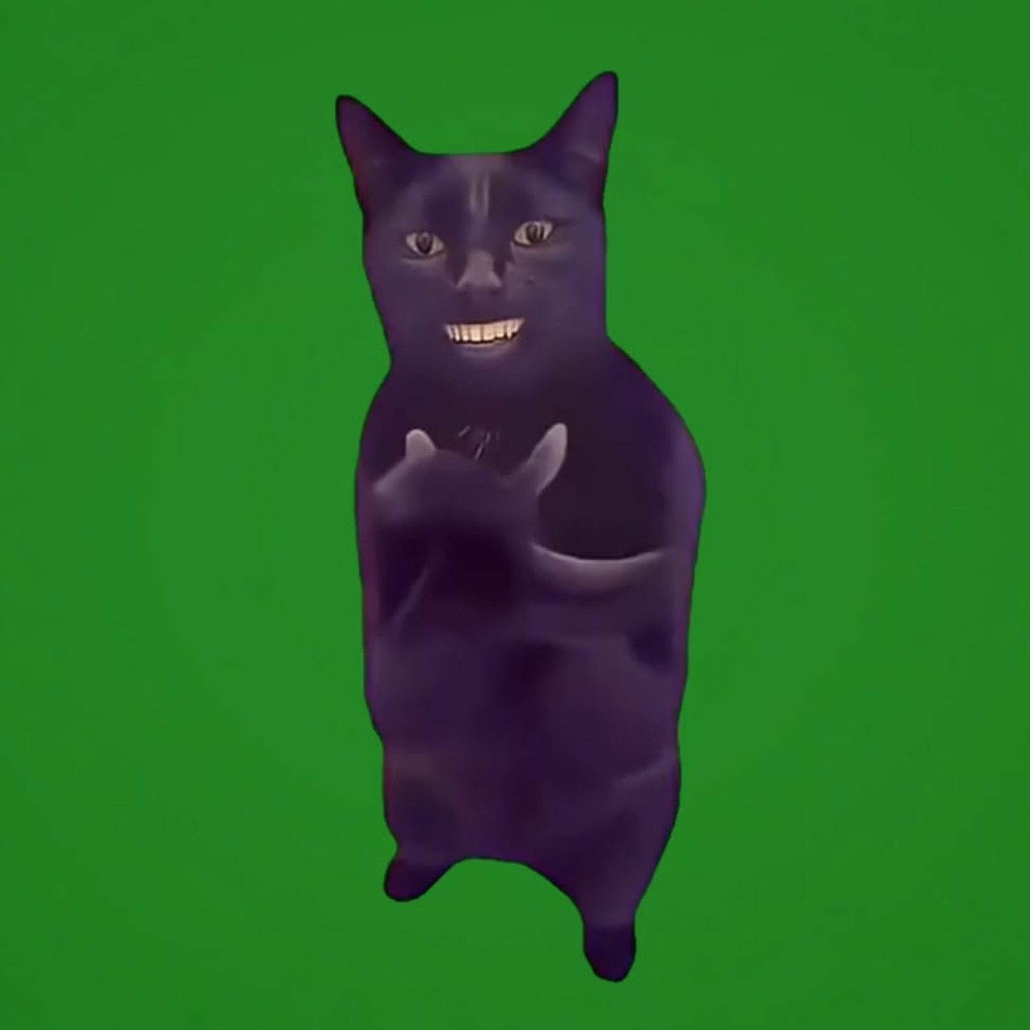 Black cat standing on green screen with a giant human-teeth grin, clapping